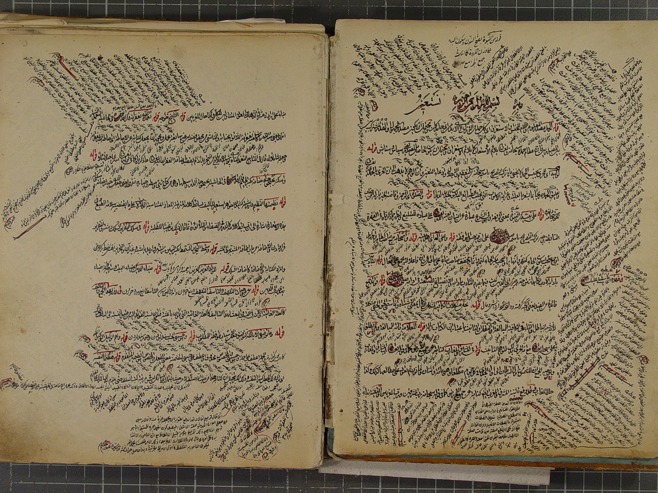 الحاشیة علی الفوائد الضیائیة 