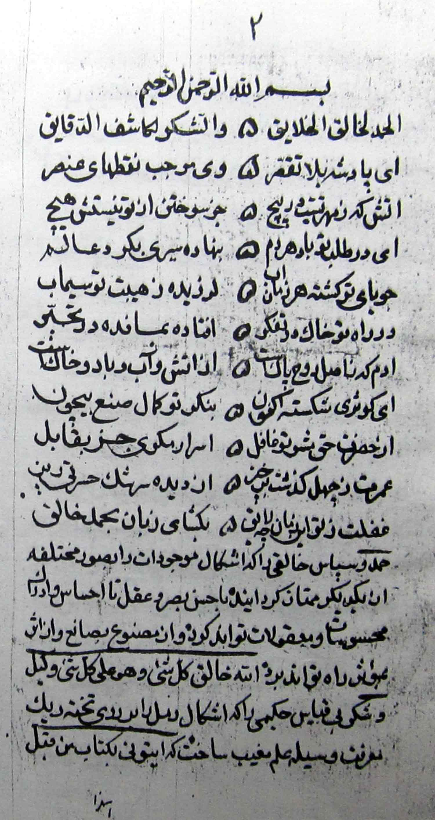 کشف الشجر 