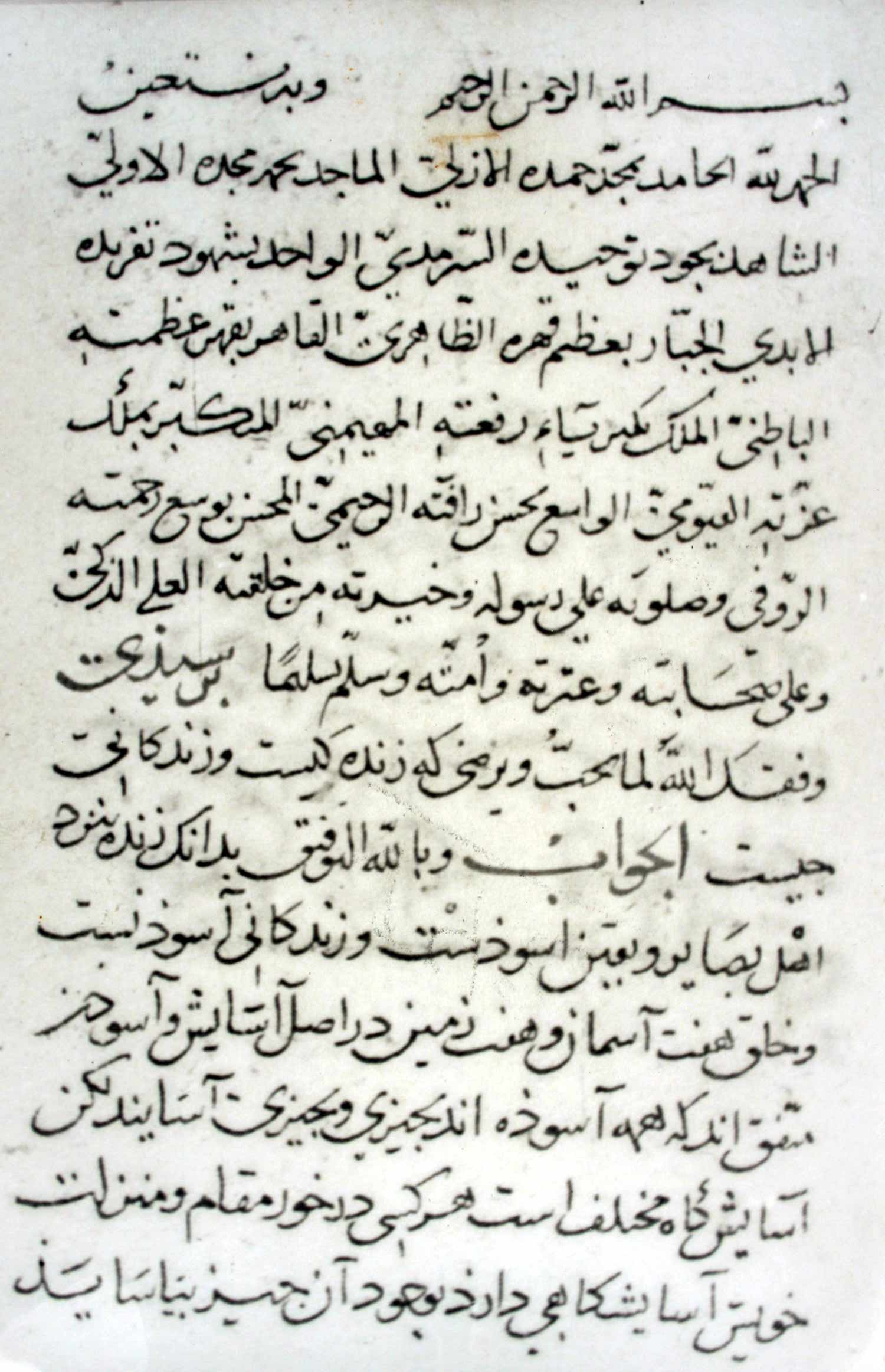 رتبة الحیات