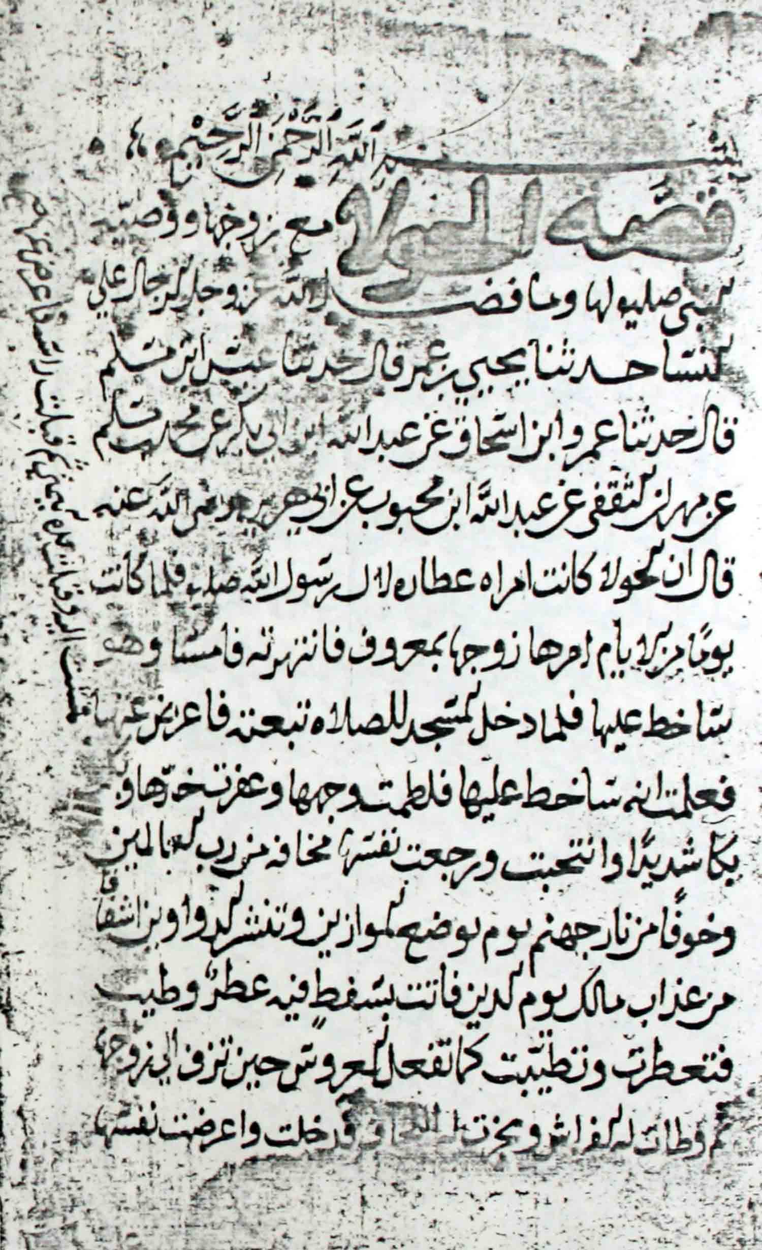 قصة الجولاء