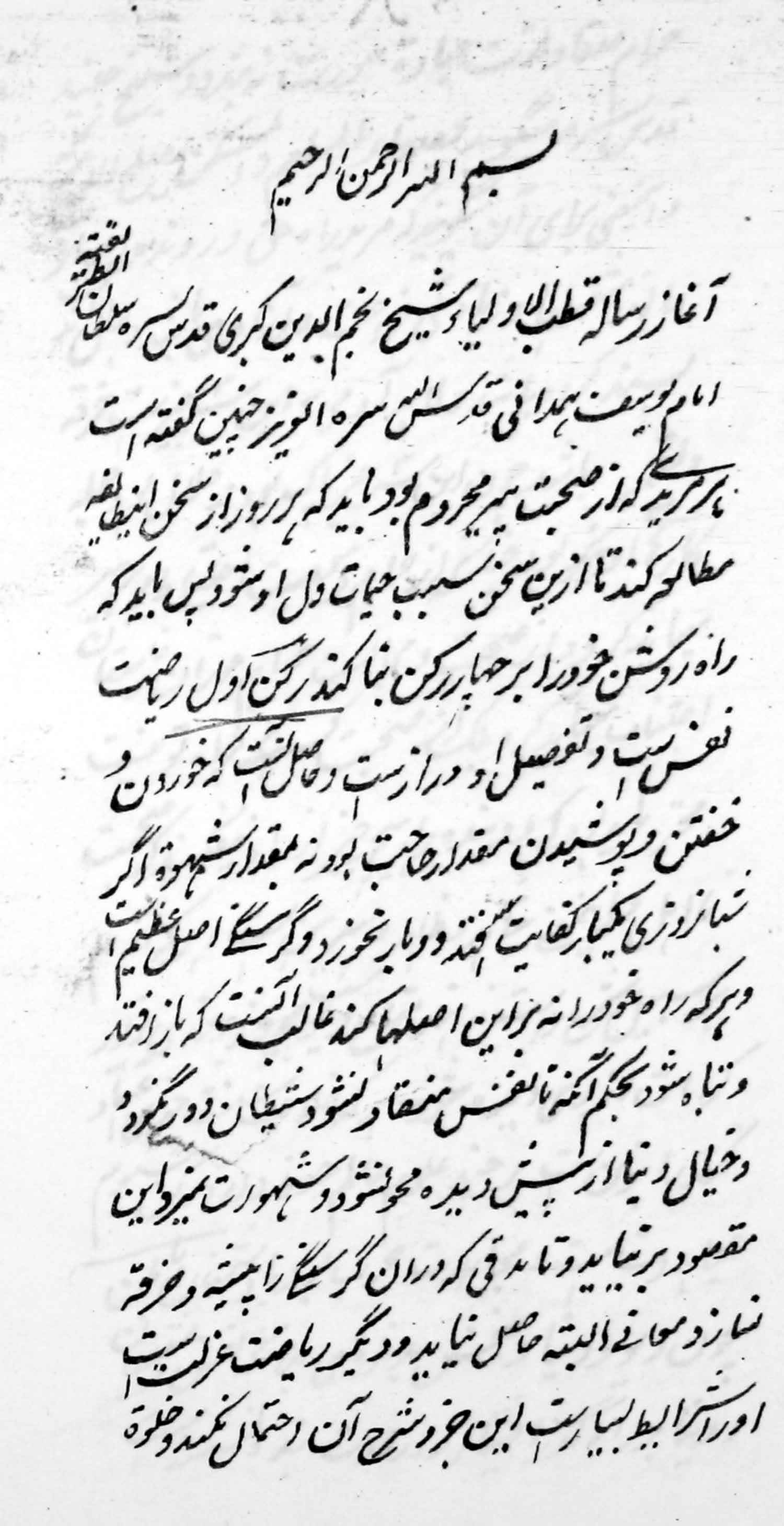مرید و مریدی؛ رسالۀ نجم الدین کبری؛ سلوک