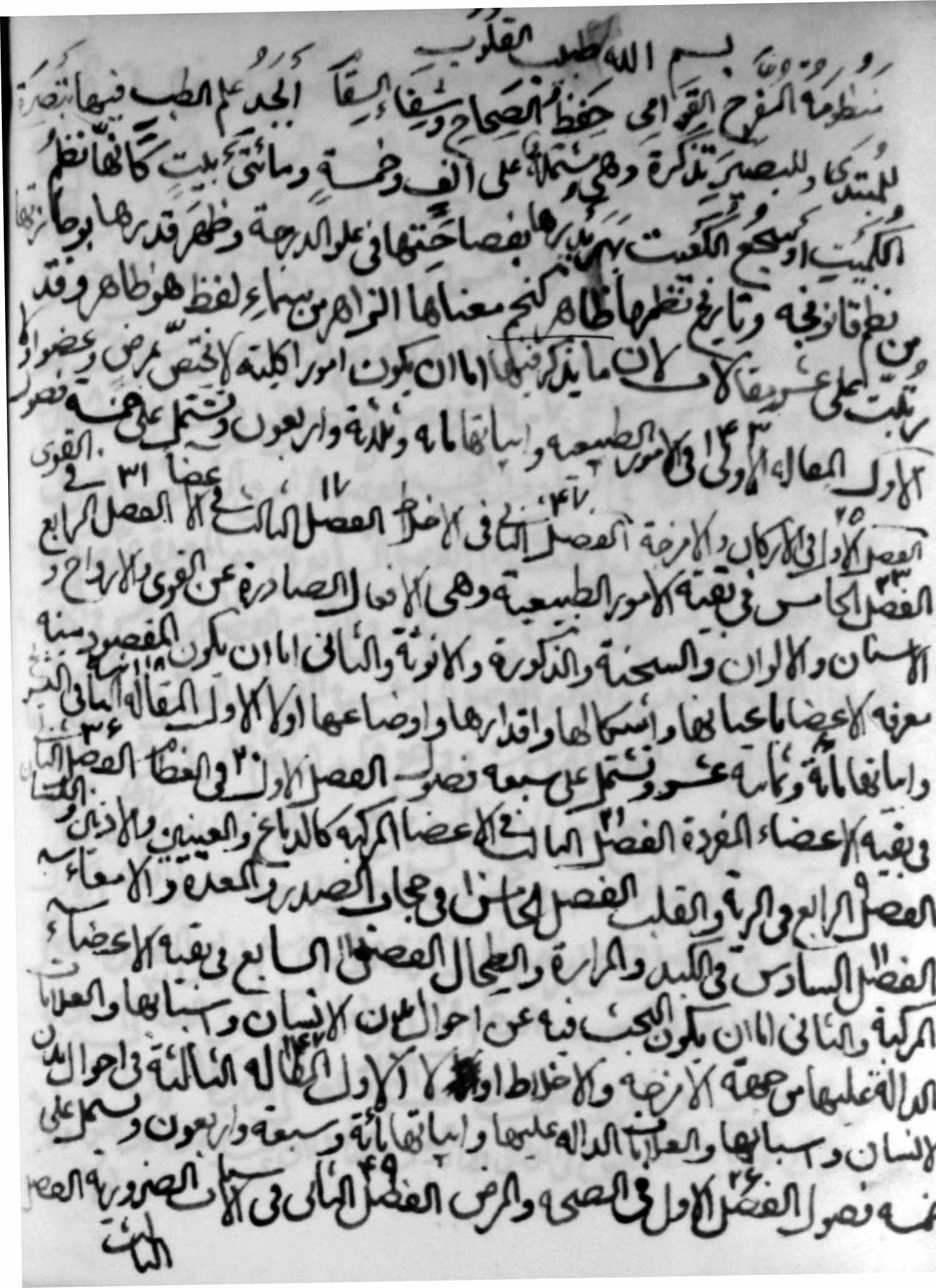 المفرح القوامی؛ المرح القوامیة؛ مفرح القوام 