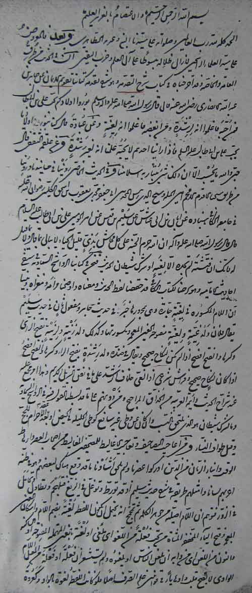 تحقیقات 