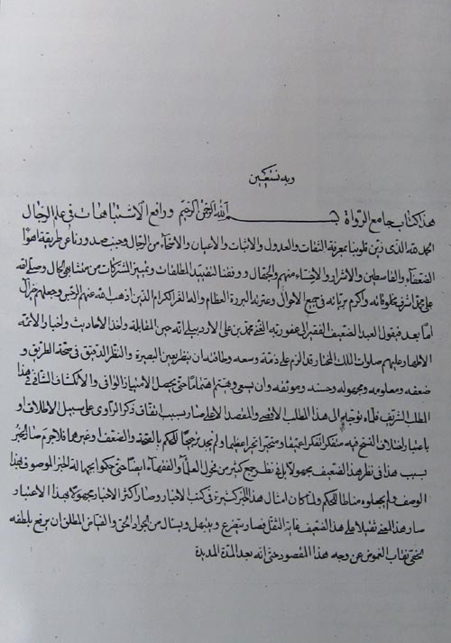 جامع الرواة و رافع الشبهات فی علم الرجال؛ رافع الاشتباهات 