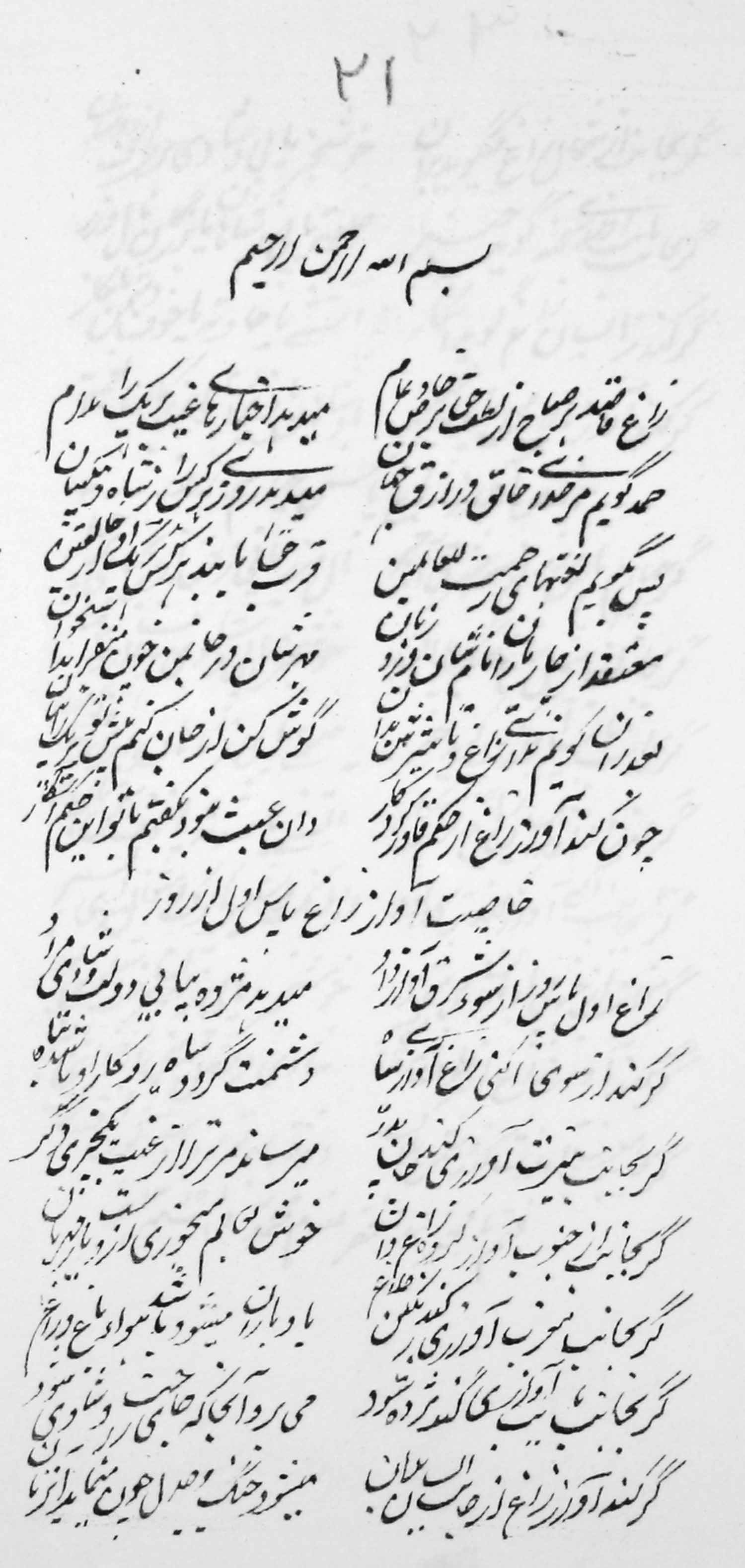 آواز پرندگان؛ خواص ...