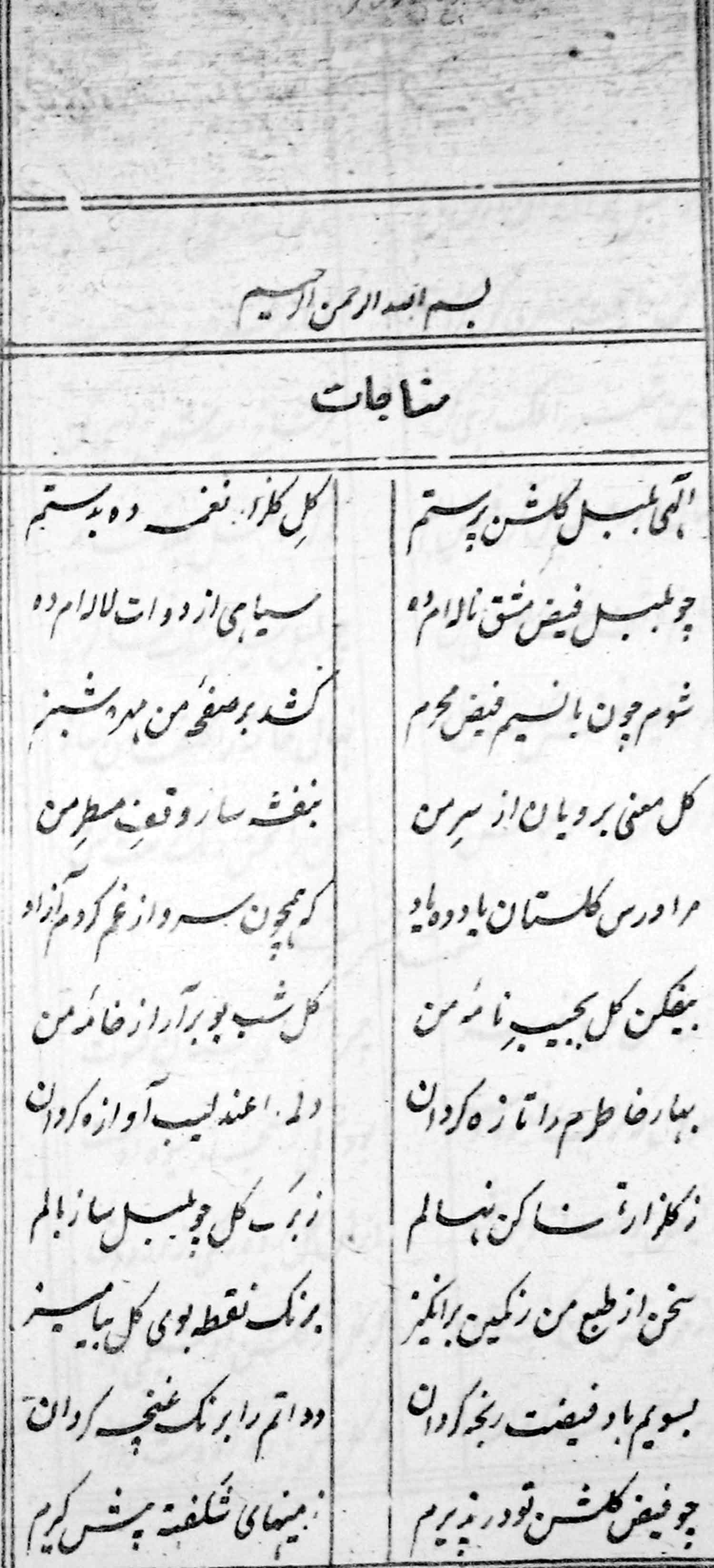 بهار جاوید؛ جاوید بهار