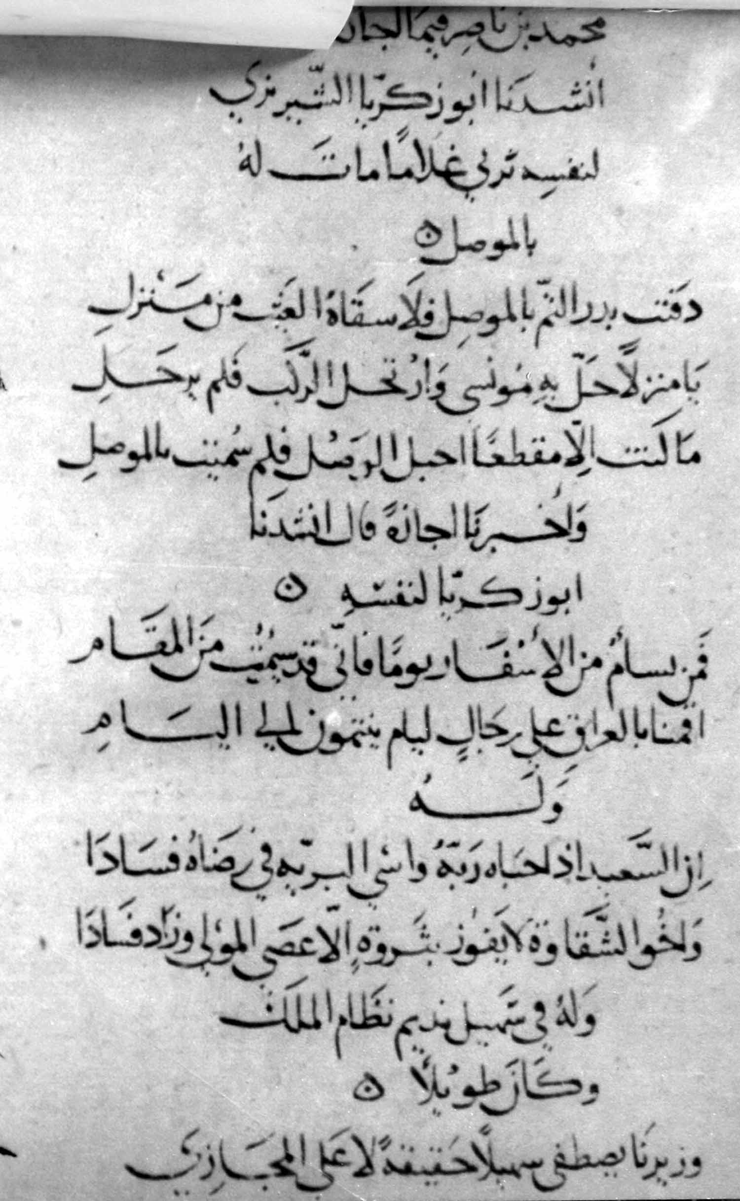 خریدة القصر و جریدة العصر